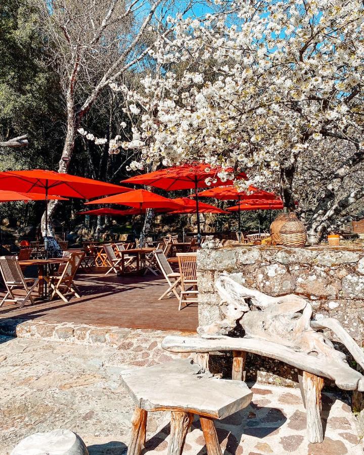 Auberge De La Foret Bonifatu Calenzana Exterior foto